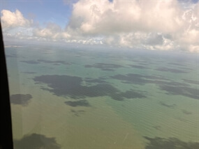 Customer Photo of Dorset Coast Helicopter Tours